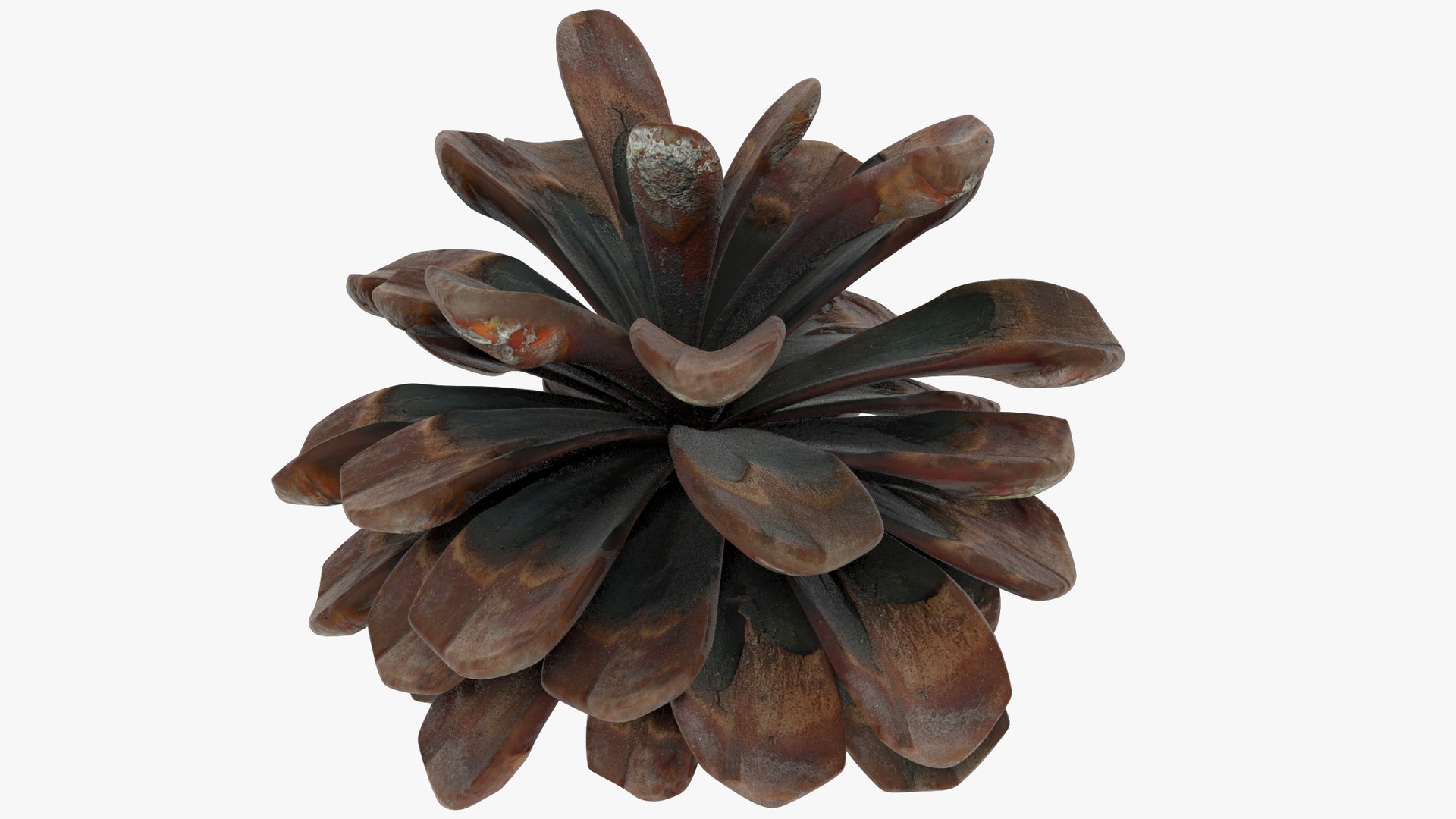 3D model Cone Middle Poly V1 https://p.turbosquid.com/ts-thumb/aM/c6s8DA/CQ/cmp1_004_010/png/1699843657/1920x1080/fit_q87/4b161cf3aa713fd1840aa54cc1fd3789617f792e/cmp1_004_010.jpg