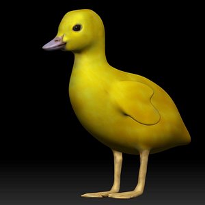 3D Duckling Rigged low poly