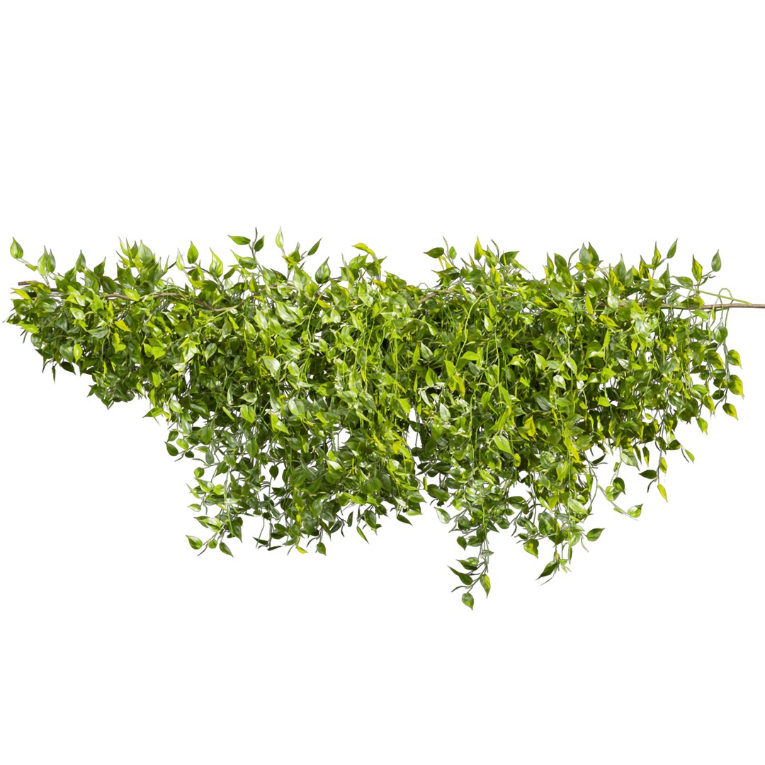 3D Collection plant vol 529 - bush - Outdoor - ivy - pothos model https://p.turbosquid.com/ts-thumb/aM/vGisLg/MB/4/jpg/1695916289/1920x1080/fit_q87/e8602fc6a1433ad7e09b87fd0bdb36be69e448b2/4.jpg