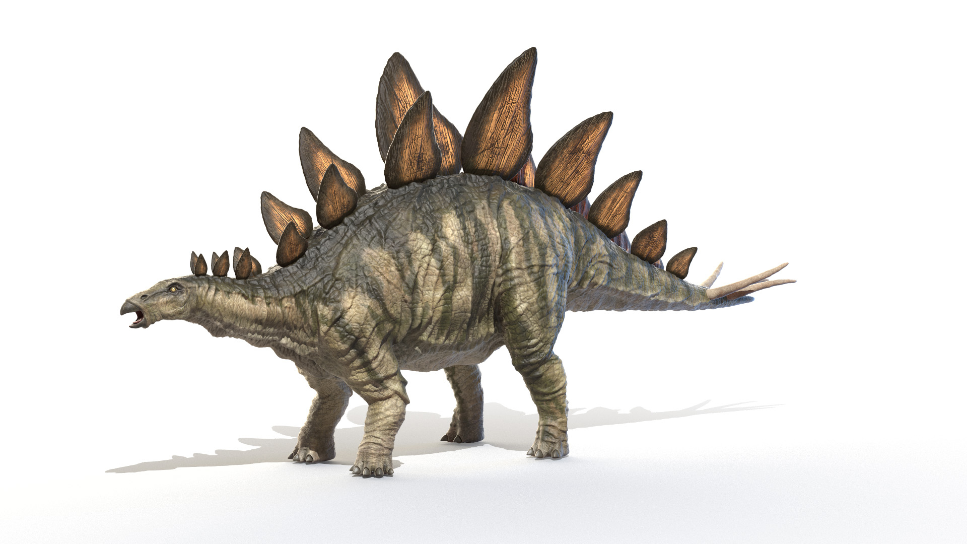 3D stegosaurus stegos model https://p.turbosquid.com/ts-thumb/aM/yKKU1f/IJ38ldeg/stegosaurus_turntable/jpg/1594823610/1920x1080/turn_fit_q99/835b7650038f6979a73c6b87171f5d0b570a4f22/stegosaurus_turntable-1.jpg