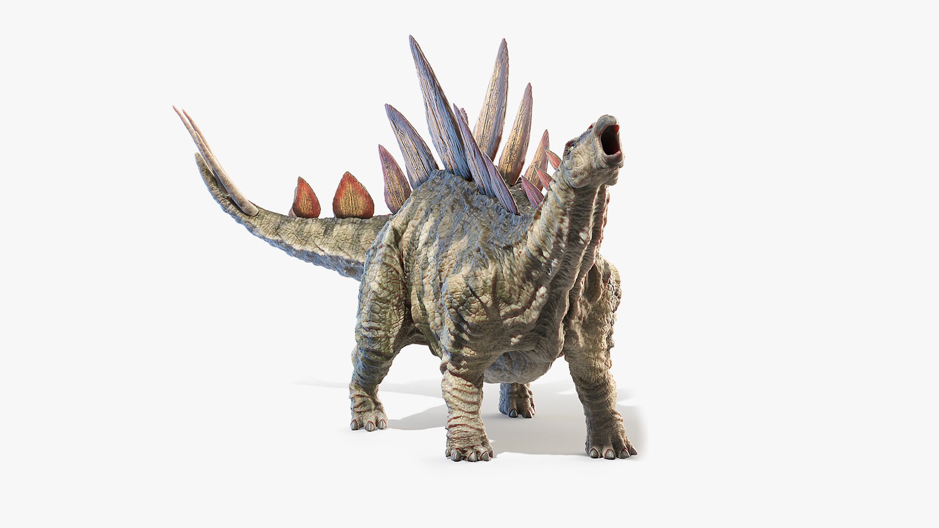 3D stegosaurus stegos model https://p.turbosquid.com/ts-thumb/aM/yKKU1f/TeDHjmpT/stegosaurus_animated_sig_cinema/jpg/1594823429/1920x1080/fit_q87/8d54f4284812518f6510b24caaf687eece36a1d4/stegosaurus_animated_sig_cinema.jpg