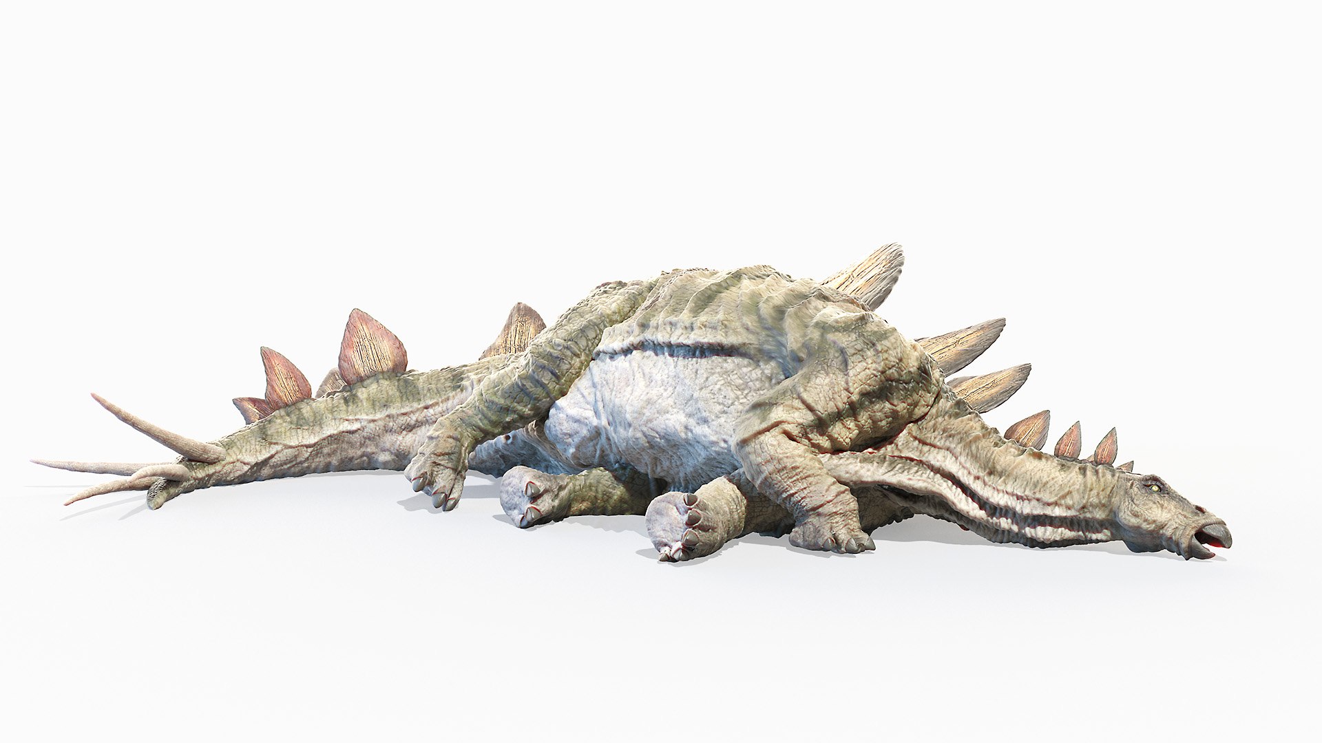 3D stegosaurus stegos model https://p.turbosquid.com/ts-thumb/aM/yKKU1f/jUKpUp81/stegosaurus_poses0085/jpg/1594823721/1920x1080/fit_q87/141d68b226a7dc952103b59b26fa668733a1f449/stegosaurus_poses0085.jpg