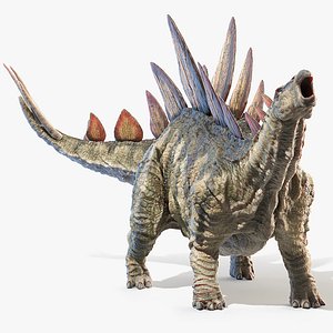 3D stegosaurus stegos model