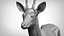 3D roe deer capreolus