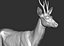 3D roe deer capreolus