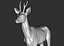 3D roe deer capreolus