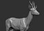3D roe deer capreolus