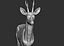 3D roe deer capreolus