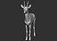 3D roe deer capreolus