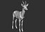3D roe deer capreolus