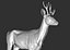 3D roe deer capreolus