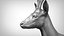 3D roe deer capreolus