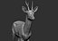 3D roe deer capreolus