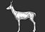 3D roe deer capreolus