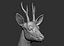 3D roe deer capreolus
