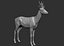 3D roe deer capreolus