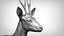 3D roe deer capreolus