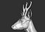 3D roe deer capreolus