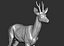 3D roe deer capreolus