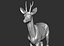 3D roe deer capreolus