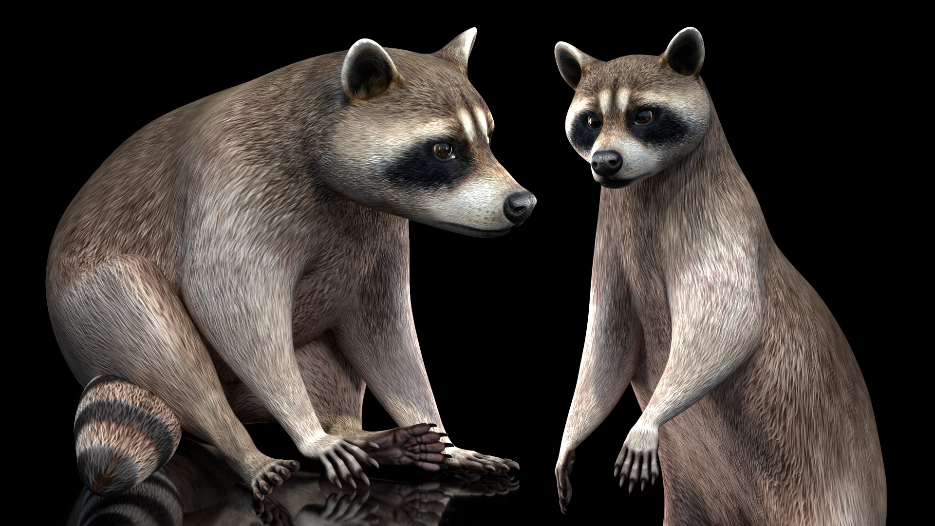 Raccoon Rigged For Modo Model - TurboSquid 1882956