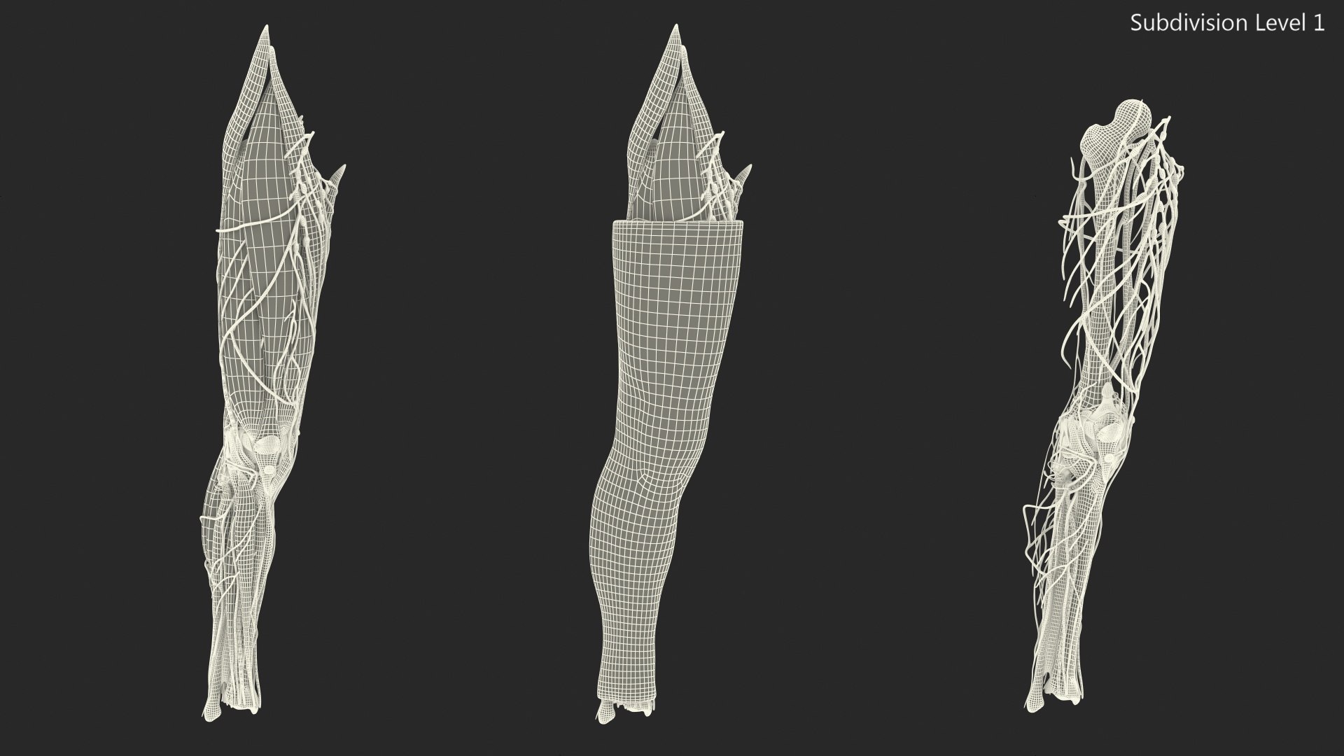 3D human knee joint anatomy model https://p.turbosquid.com/ts-thumb/aN/KnZu2R/KOcaG7cR/humankneejointanatomy3dsmodel019/jpg/1599662528/1920x1080/fit_q87/ee3f6edd25d02258a4b325b2819e39d4f5255447/humankneejointanatomy3dsmodel019.jpg