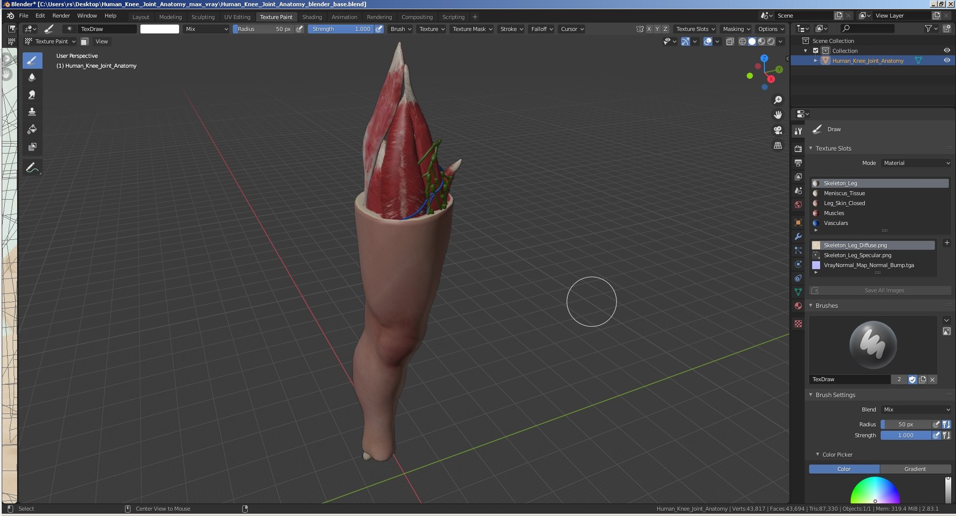3D human knee joint anatomy model https://p.turbosquid.com/ts-thumb/aN/KnZu2R/NOhsZAnM/humankneejointanatomy3dsmodel034/jpg/1599662635/1920x1080/fit_q87/52686ea584ce81fc7828a423eb254647dadef0a9/humankneejointanatomy3dsmodel034.jpg