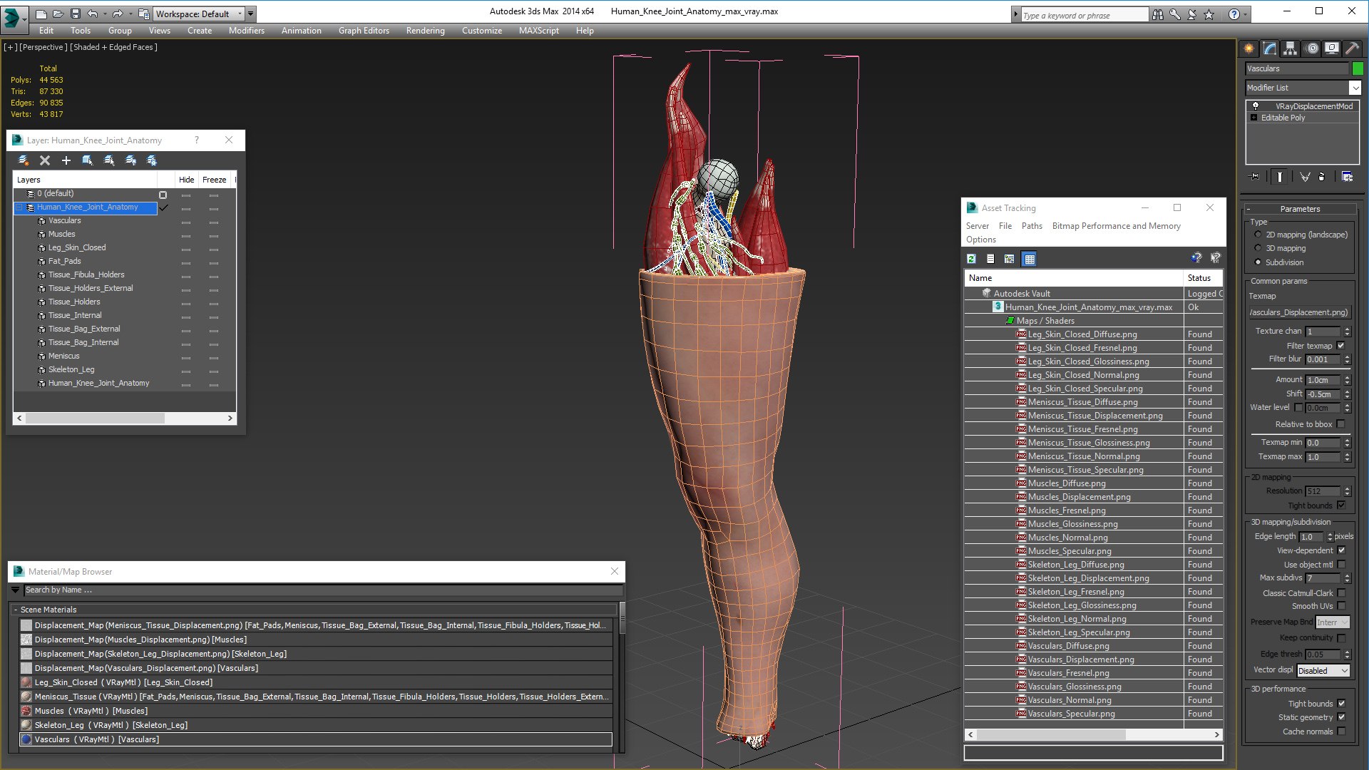 3D human knee joint anatomy model - TurboSquid 1619046