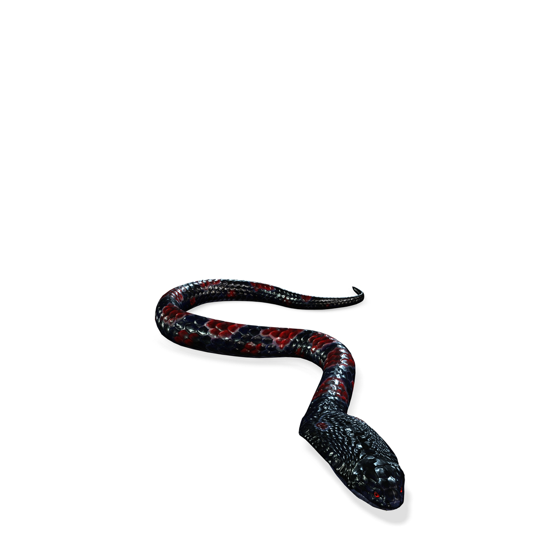 3D KING COBRA SNAKE COBRA - TurboSquid 2204901