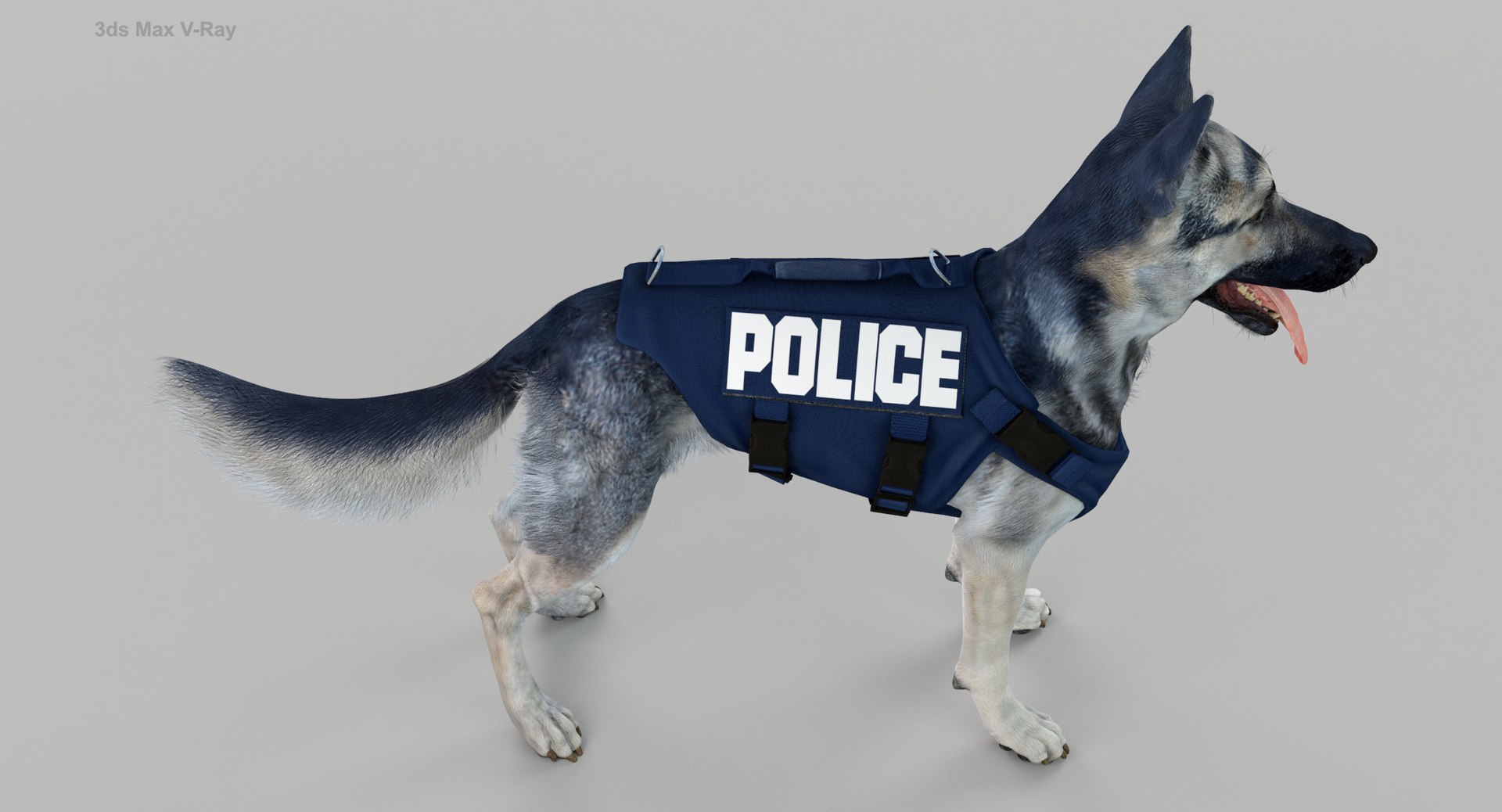 3D Police Shepherd Dog Black and Silver Diffuse and Specular Maps Addon https://p.turbosquid.com/ts-thumb/aN/TpeEnP/BB/maxvray5.jpgf72e372a84fa4eb4a425546cb5946aefzoom/jpg/1648215401/1920x1080/fit_q87/2dda3759aa357c27c82e2195d136ac6a971b3187/maxvray5.jpgf72e372a84fa4eb4a425546cb5946aefzoom.jpg