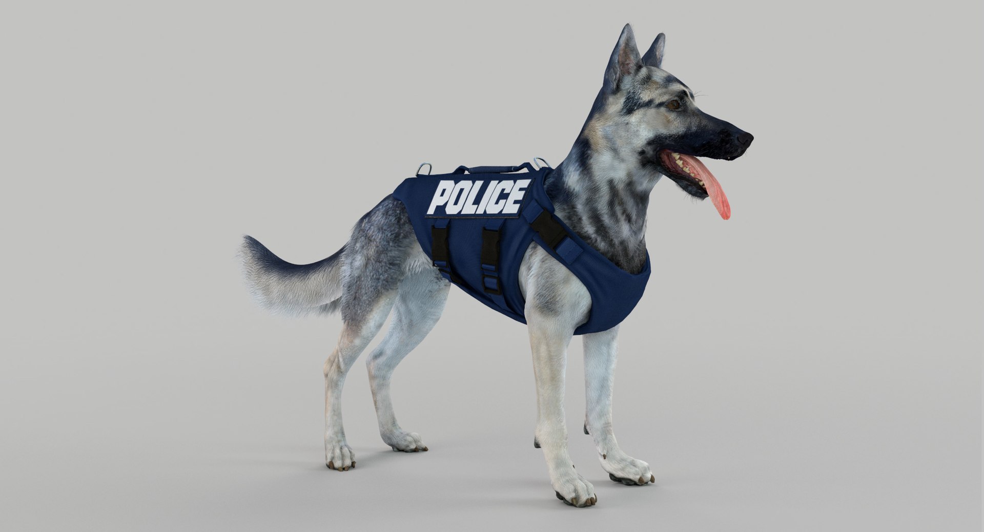 3D Police Shepherd Dog Black and Silver Diffuse and Specular Maps Addon https://p.turbosquid.com/ts-thumb/aN/TpeEnP/XE/sig2220b.jpg9b9453c52bfc4c05b239ab243d565e87zoom/jpg/1648215400/1920x1080/fit_q87/49c1e92d9ba915c2a8bac459faf466c66581ec86/sig2220b.jpg9b9453c52bfc4c05b239ab243d565e87zoom.jpg