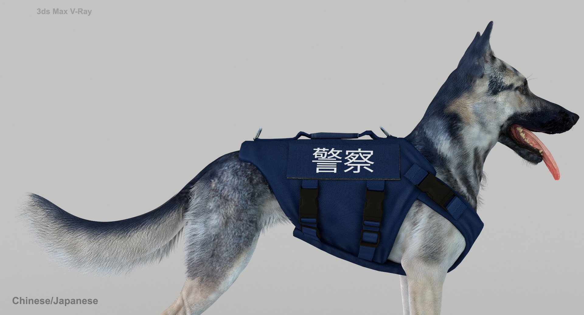 3D Police Shepherd Dog Black and Silver Diffuse and Specular Maps Addon https://p.turbosquid.com/ts-thumb/aN/TpeEnP/ft/langach.jpg9dd5c95c151340d1937566ba346df493zoom/jpg/1648215505/1920x1080/fit_q87/c88949fbb82078fbddd1333c98cce21352132516/langach.jpg9dd5c95c151340d1937566ba346df493zoom.jpg