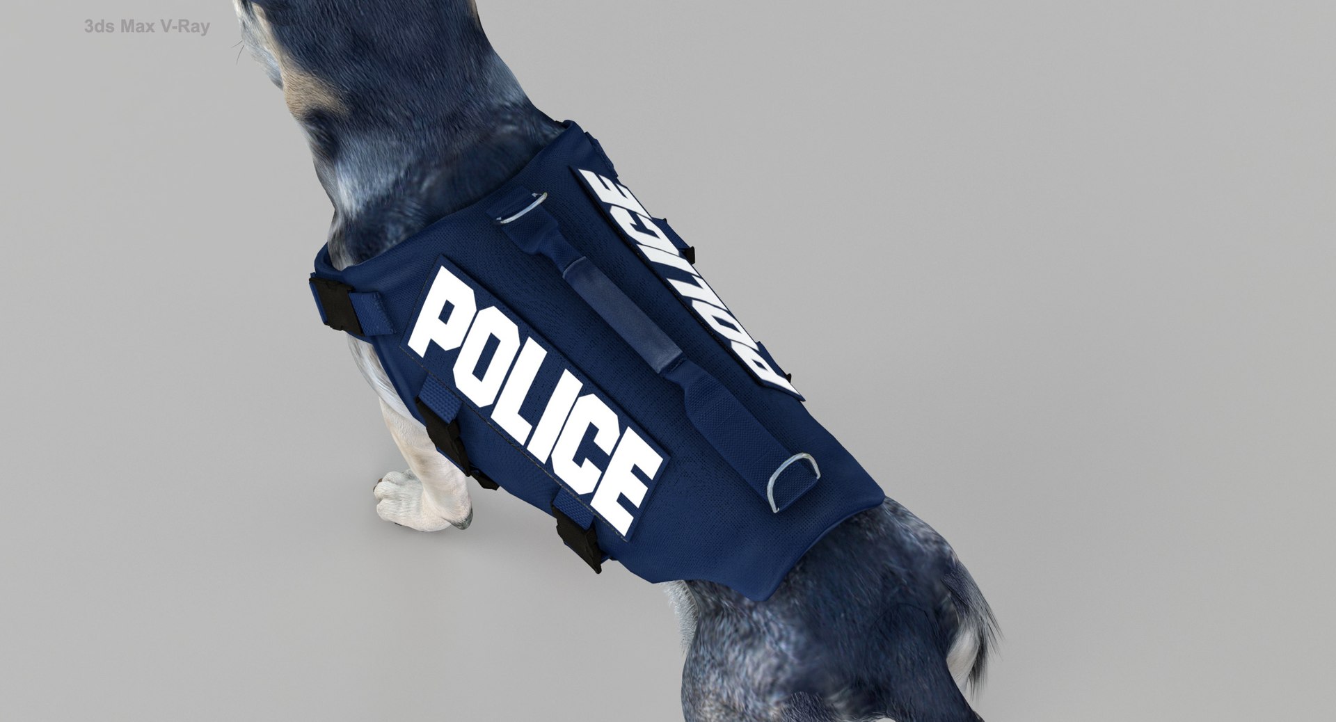 3D Police Shepherd Dog Black and Silver Diffuse and Specular Maps Addon https://p.turbosquid.com/ts-thumb/aN/TpeEnP/tS/maxvray9.jpg0c38fd55324f4d4db904f8f3a0412dcbzoom/jpg/1648215507/1920x1080/fit_q87/0d070b82e4a561a73e1d9e5488f991fb9ceb1480/maxvray9.jpg0c38fd55324f4d4db904f8f3a0412dcbzoom.jpg