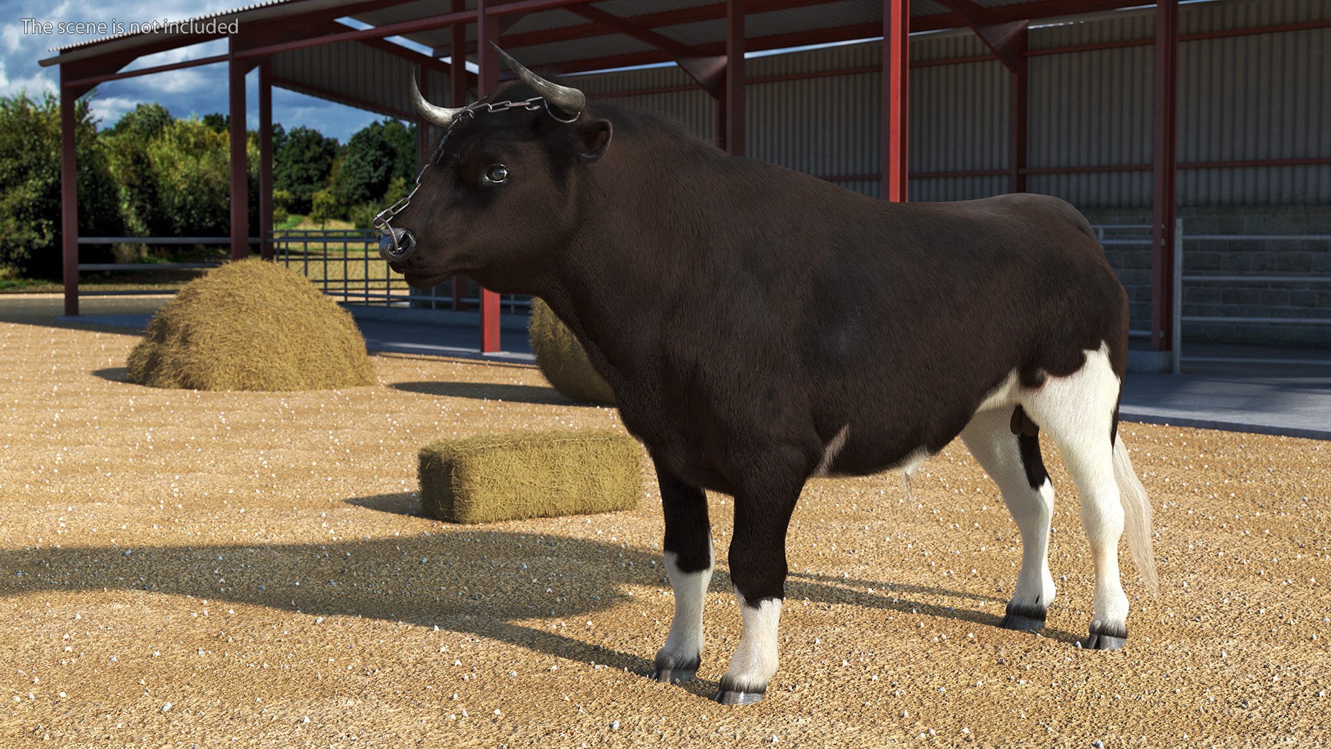 3D Bull With A Chain Fur - TurboSquid 2168177