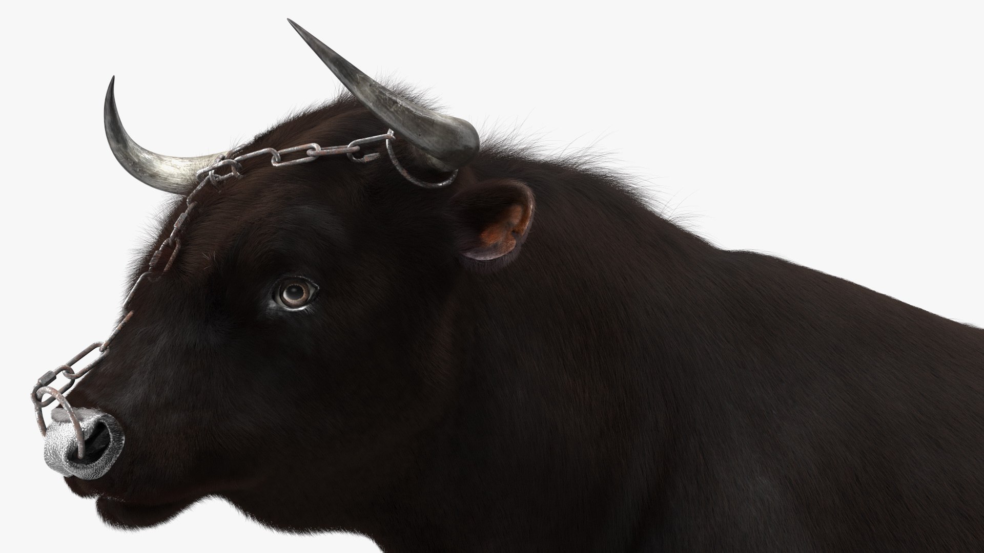 3D Bull With A Chain Fur - TurboSquid 2168177