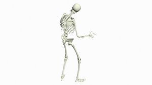 Skeleton Sitting Disbelief 3D