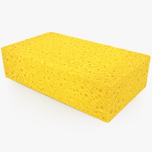 3D Cellulose Sponge model