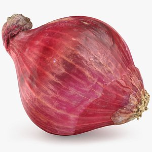 Whole Red Onion