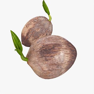 3D fruits model
