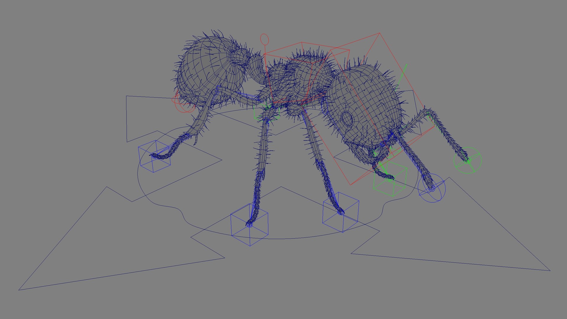 3D Ant ANIMATED model - TurboSquid 2148362