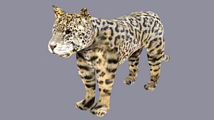 3D Spotted Jaguar Model