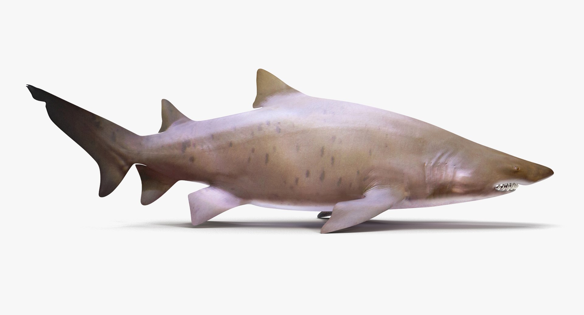 ★TIGER SHARK★ MAVEL MINI-BUST Tiger Shark Mini Morph Model micro block – Inspired Passion