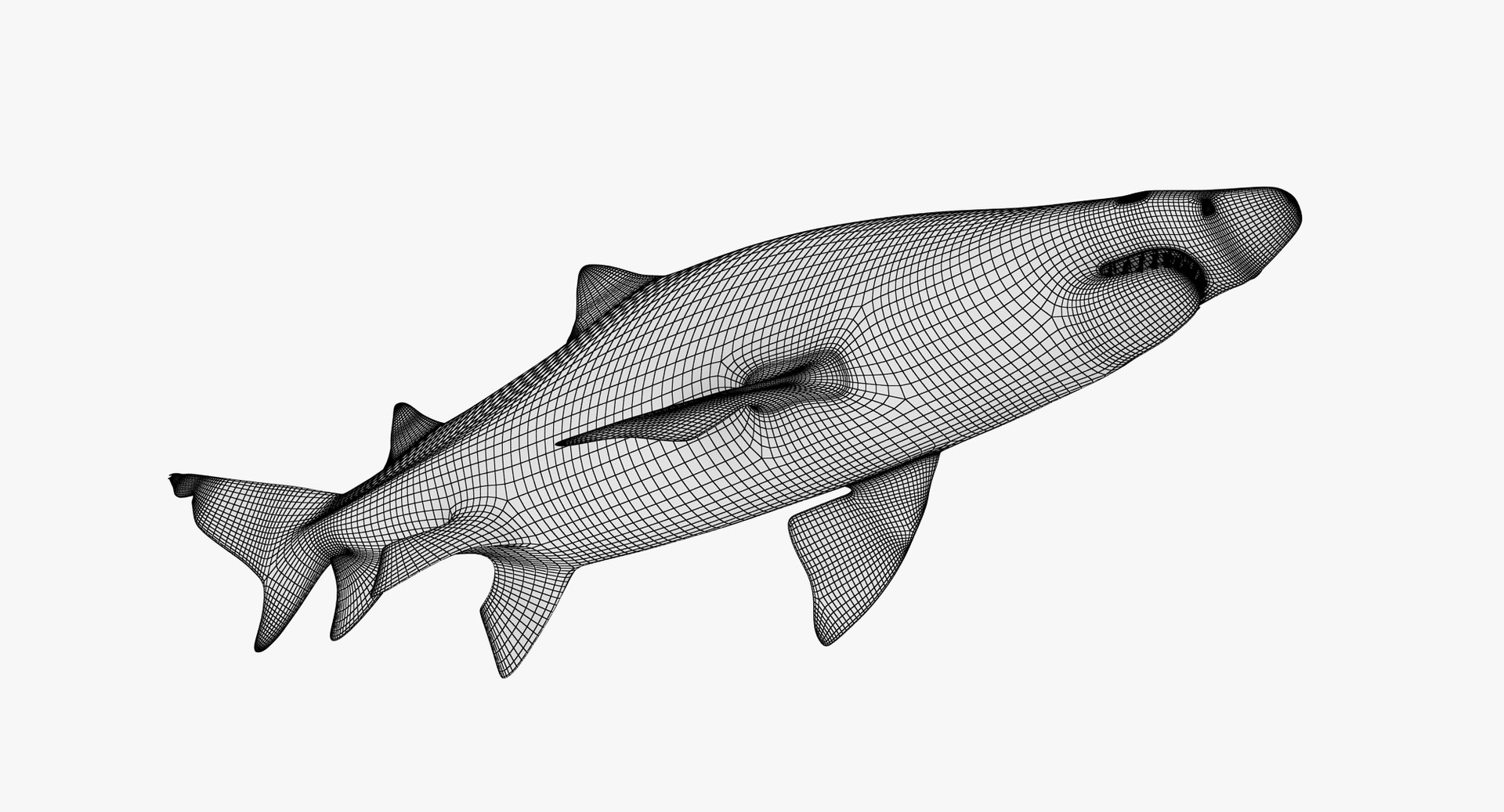 3d Max Sand Tiger Shark