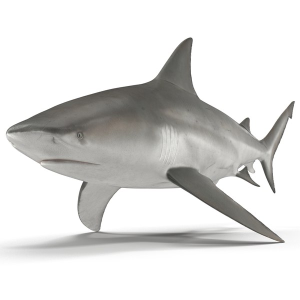 Curso Tubarão Branco 3D Autodesk 3ds Max 2021 e Photoshop – Gfx Total