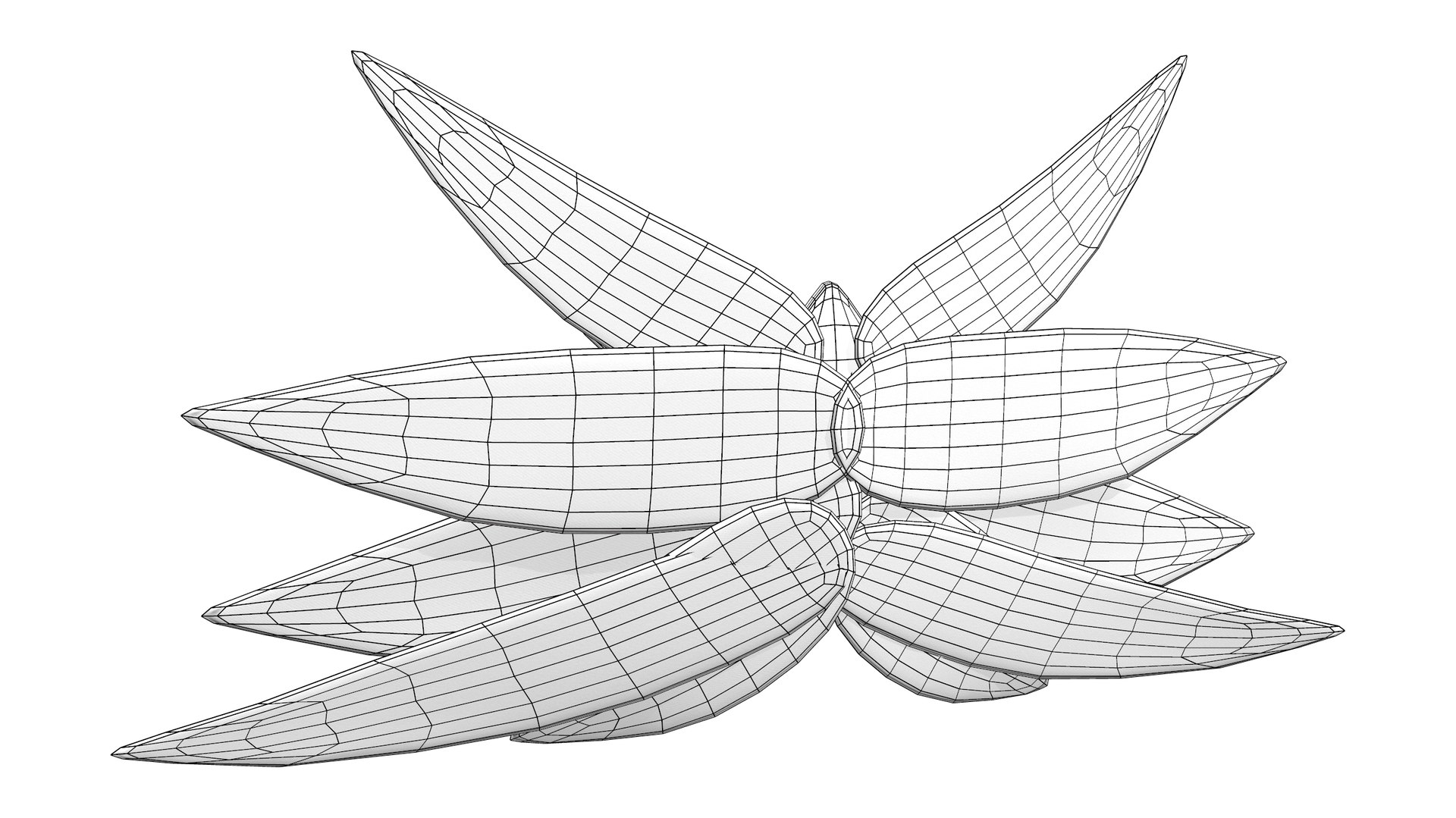 Fantasy Wings 3D Model - TurboSquid 2002590