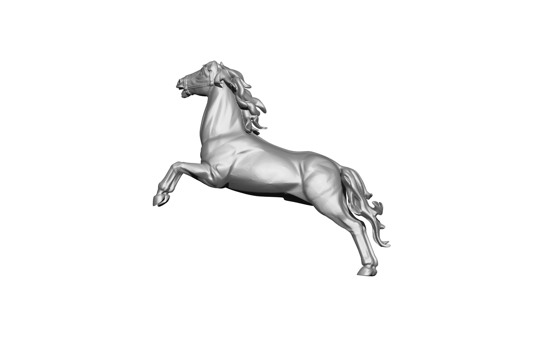 Animal Horse Head Mane Muscles 3D - TurboSquid 2132495