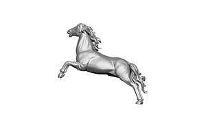 animal horse head mane muscles