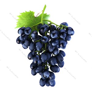 Grapes black