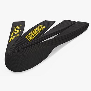 3D Taekwondo Black Obi Belt
