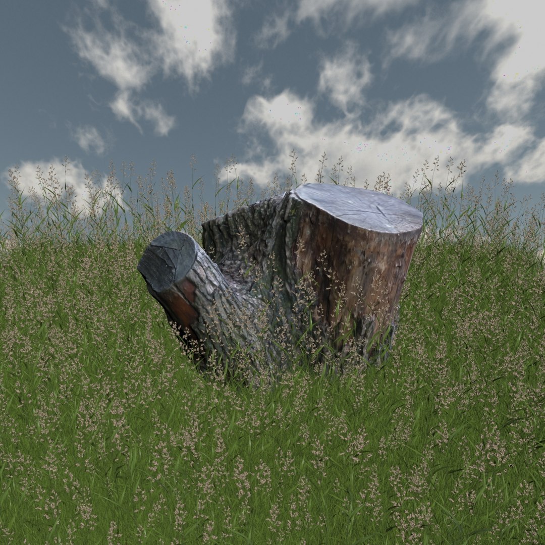 3D realistic dry stump model - TurboSquid 1196254